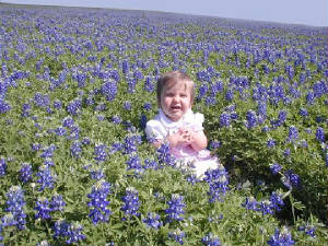 madibluebonnets2small.jpg